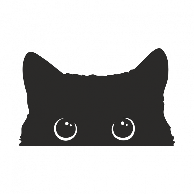 Наклейка Наклейка выглядывающий котенок, 16х10 см