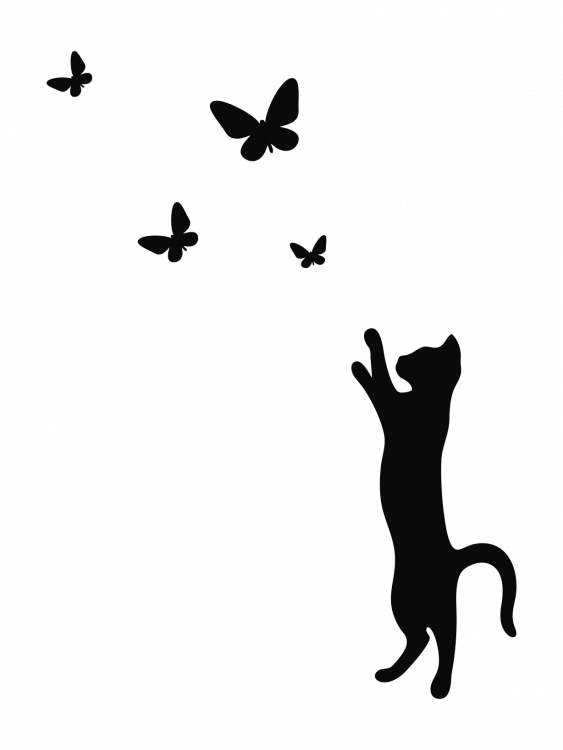 Наклейка кот и бабочки