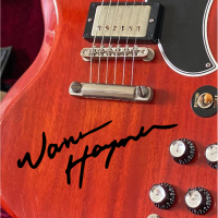 Наклейка на гитару автограф Warren Haynes