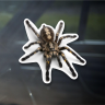 Наклейка Наклейка на авто паук, 15х14 см, белый фон